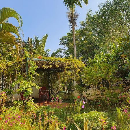 Villa My Long 芹苴 外观 照片